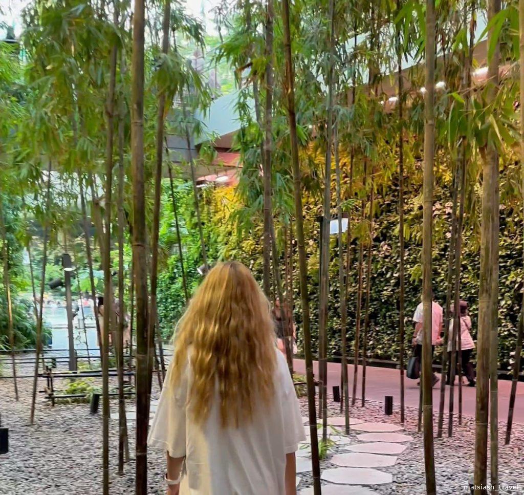 Тропические джунгли в аэропорту Сингапура