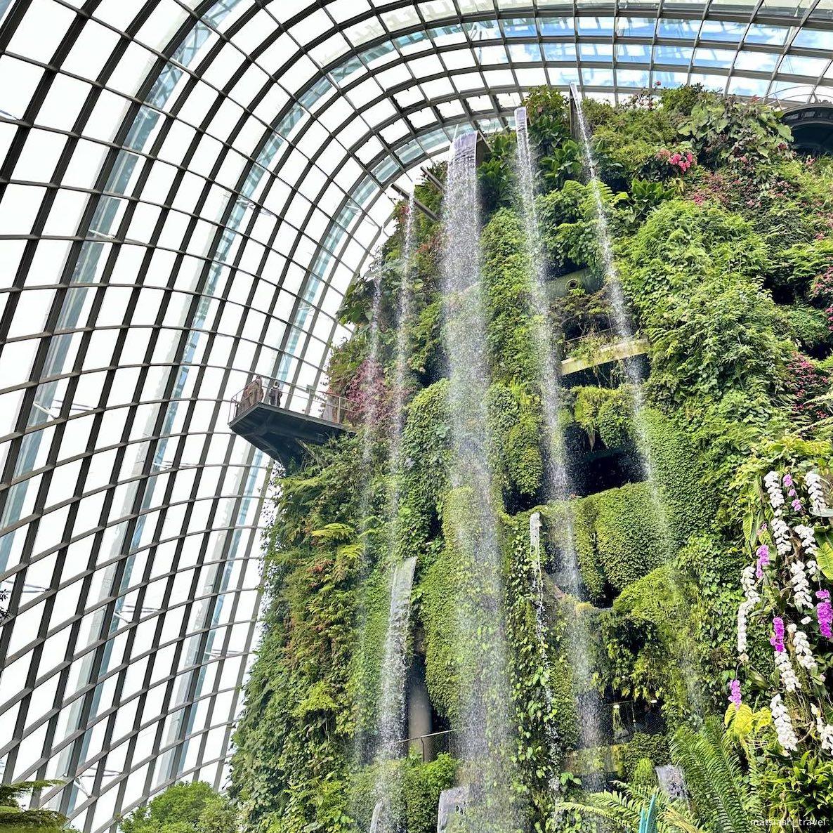Cloud Forest