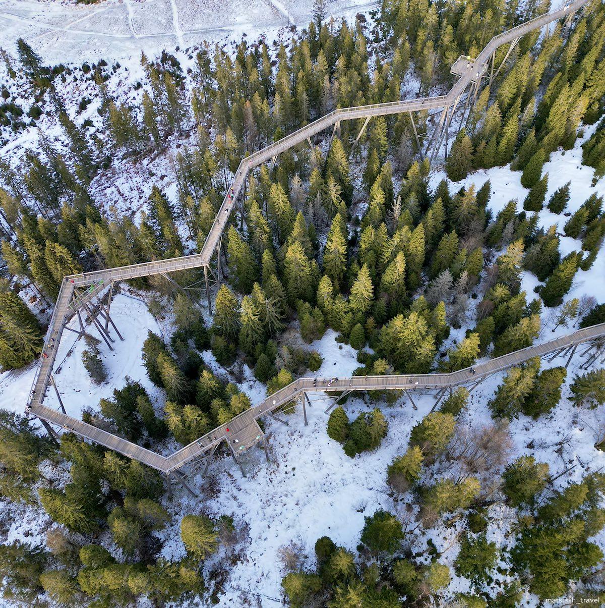 Treetop Walk Bachledka – мост среди деревьев в Словакии