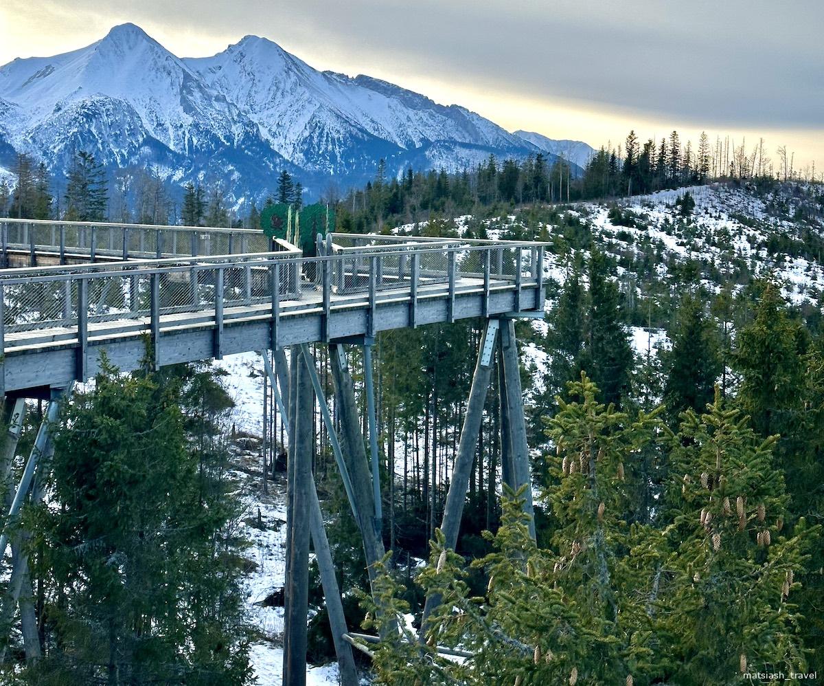 Вид сбоку на Treetop Bachledka